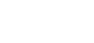 Logo header MDS Consutancy bianco