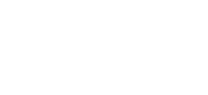 Logo header MDS Consutancy bianco
